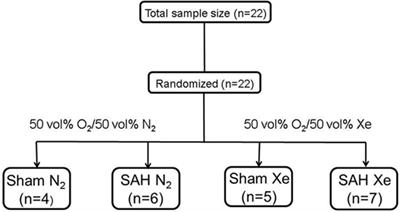 Xenon Reduces Neuronal Hippocampal Damage and Alters the Pattern of Microglial Activation after Experimental Subarachnoid Hemorrhage: A Randomized Controlled Animal Trial